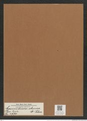 Coscinodiscus obscura A. Schm. (de-Toni-Nr.: Genus 202, Species 4971) Zeichnungen Sammlung Grunow Mappe 04786 (Herbarium_W_Grunow_drawings_Folder_04786)